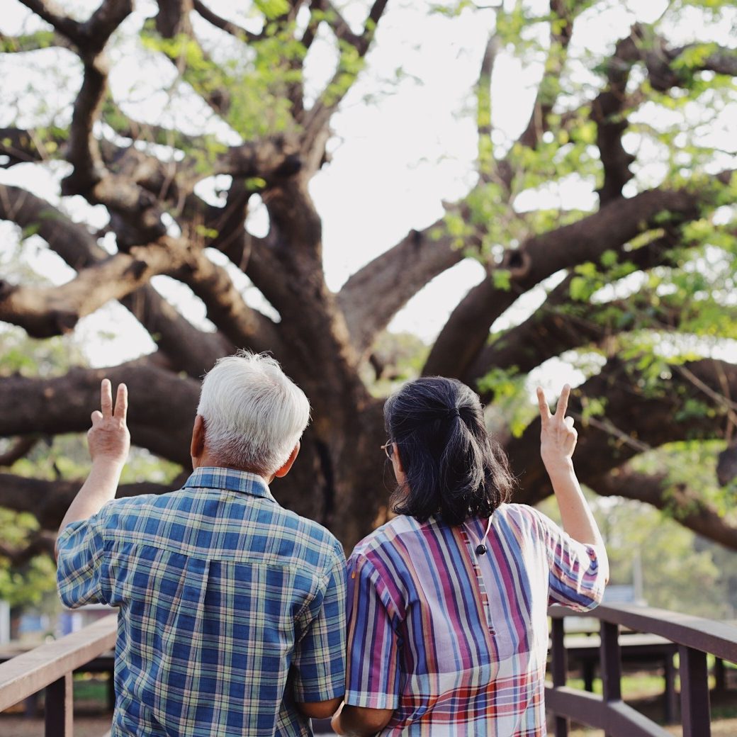 tree-travel-couple-old-happy-victory-senior-middle-aged-man-middle-aged-woman-senior-lifestyle_t20_QJeanE